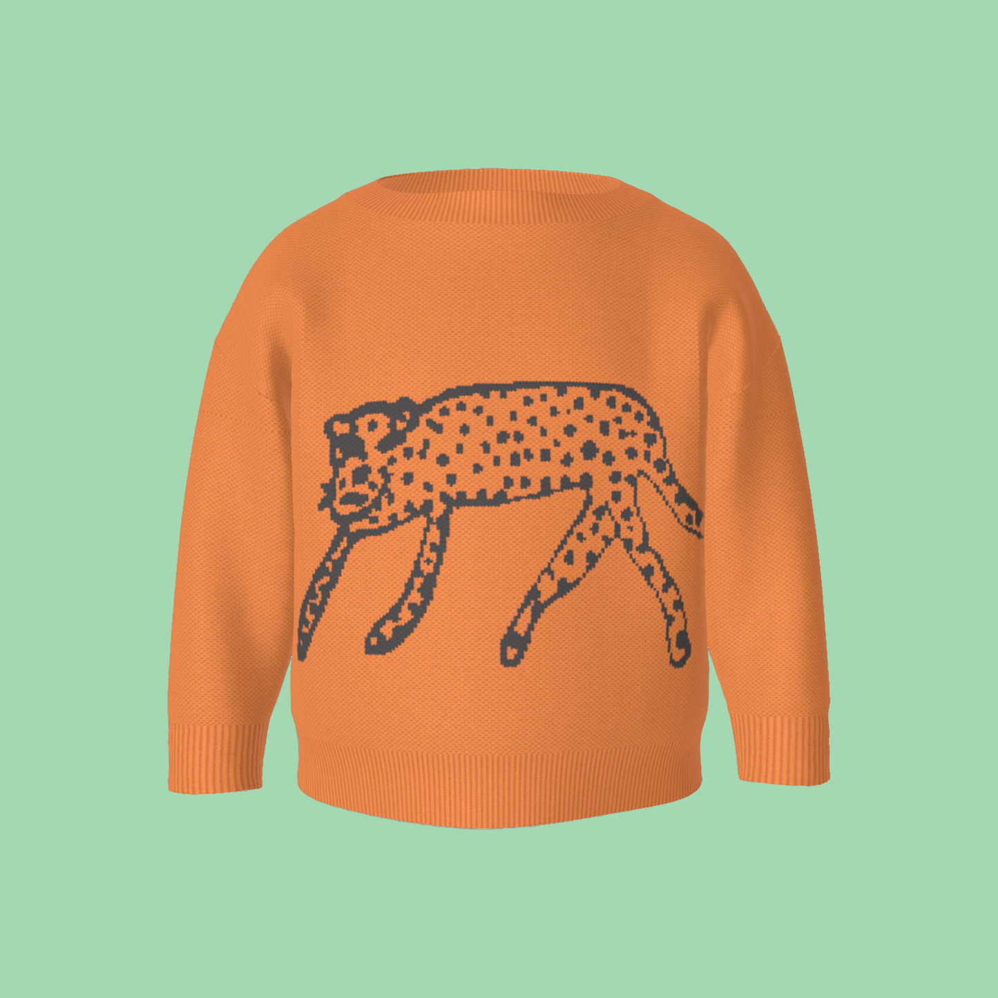 Cheetah Knit Sweater
